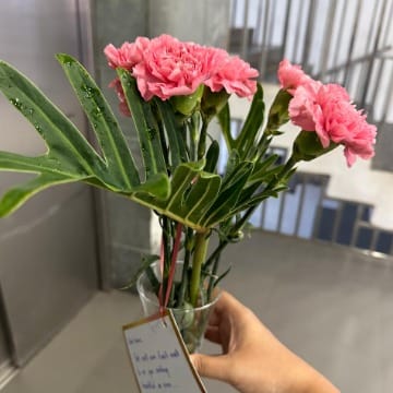 Timeless Pink Carnations