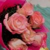 Tender Pink Roses Bouquet
