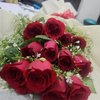 Blaze Red Velvet Roses