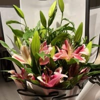 https://imgcdn.floweraura.com/fa/review_image/1720892317_262678.jpeg