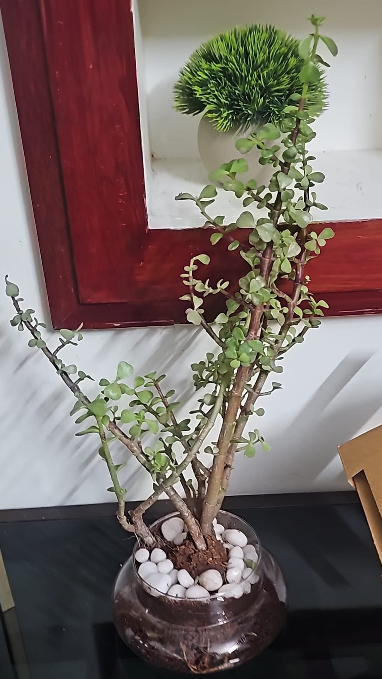 https://imgcdn.floweraura.com/fa/review_image/1720894898_392643.jpeg