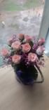 Blooming Romance