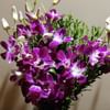 Bellina Purple Orchid Bouquet