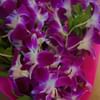 Bellina Purple Orchid Bouquet