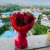 10 Red Roses Bouquet