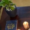 Money Plant With Candle N Buddha Statue Hamper