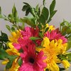 Radiant Pink And Yellow Gerbera Bouquet