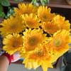 Sunshine Gerberas For Celebration