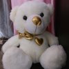 Teddy Day Special 12 Inch