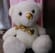 12 Inch White Teddy Bear with Golden Bow 