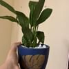 Peace Lily With Scented Candles
