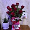 Red Radiance Birthday Roses