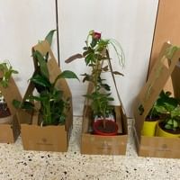 https://imgcdn.floweraura.com/fa/review_image/1728790449_490918.jpeg