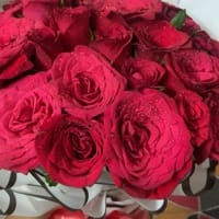 Red Carpet Roses Bouquet