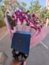 Bellina Purple Orchid Bouquet