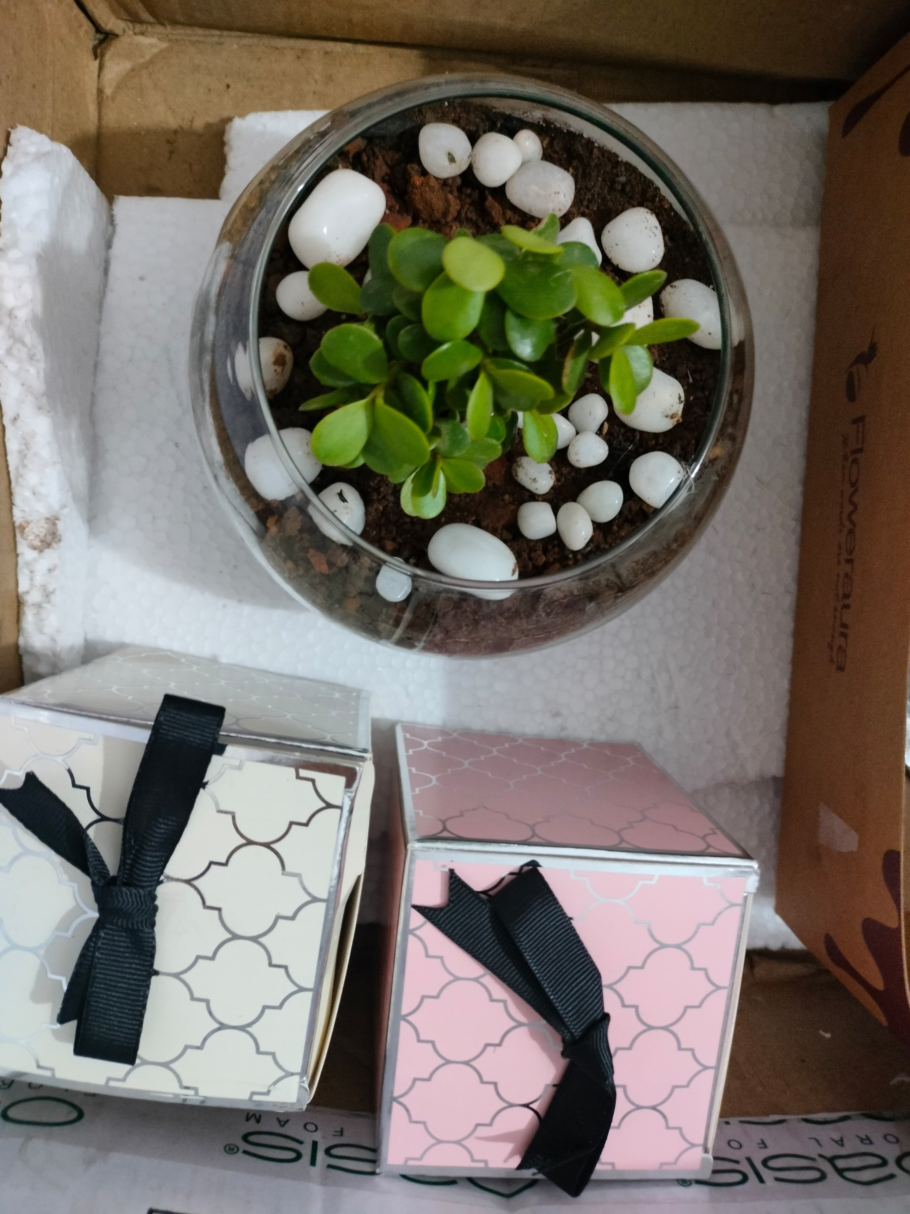 https://imgcdn.floweraura.com/fa/review_image/1736954499_683527.jpeg