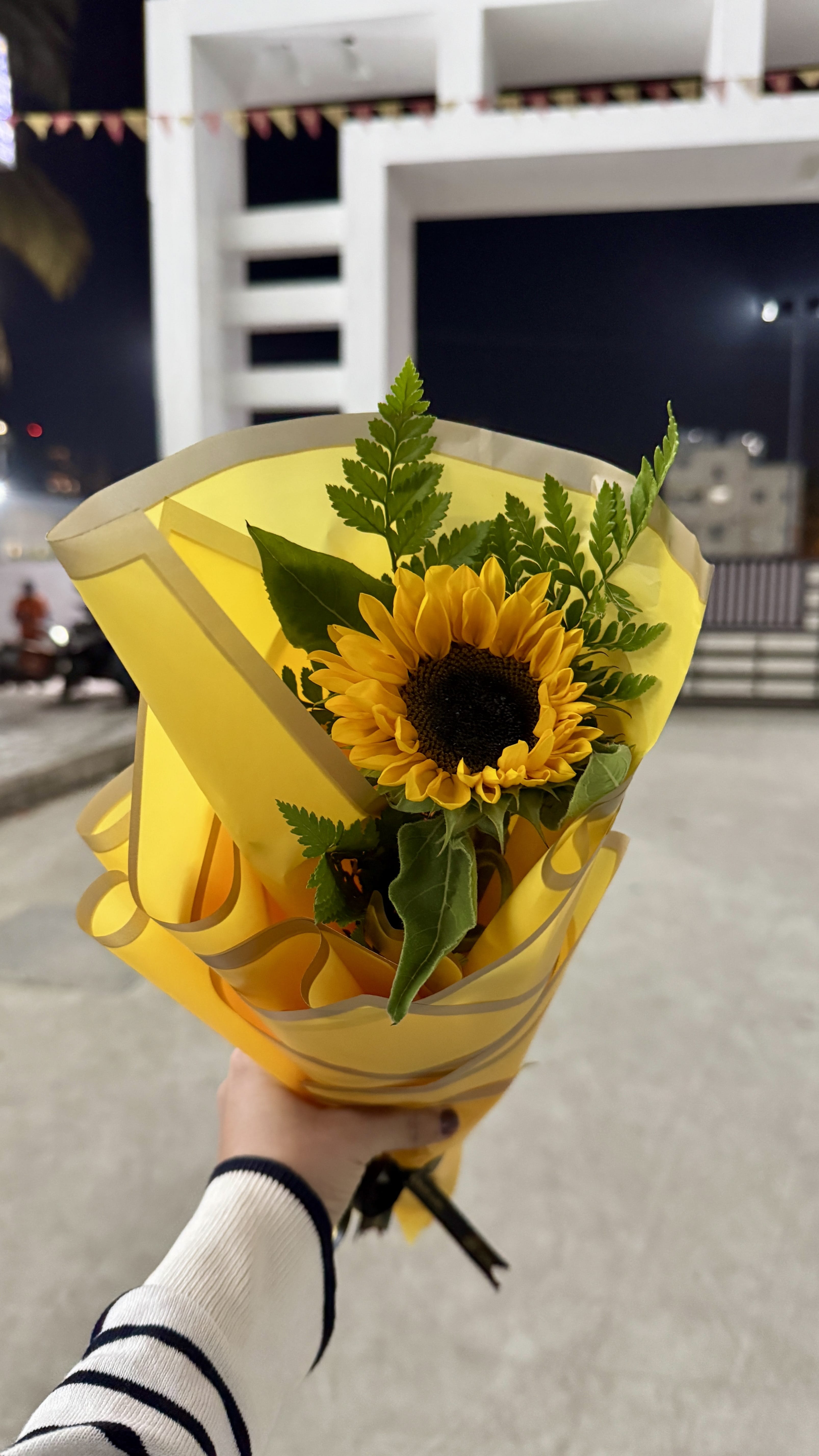 Radiating Sunshine