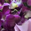 Bellina Purple Orchid Bouquet