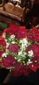 10 Red Roses Bouquet