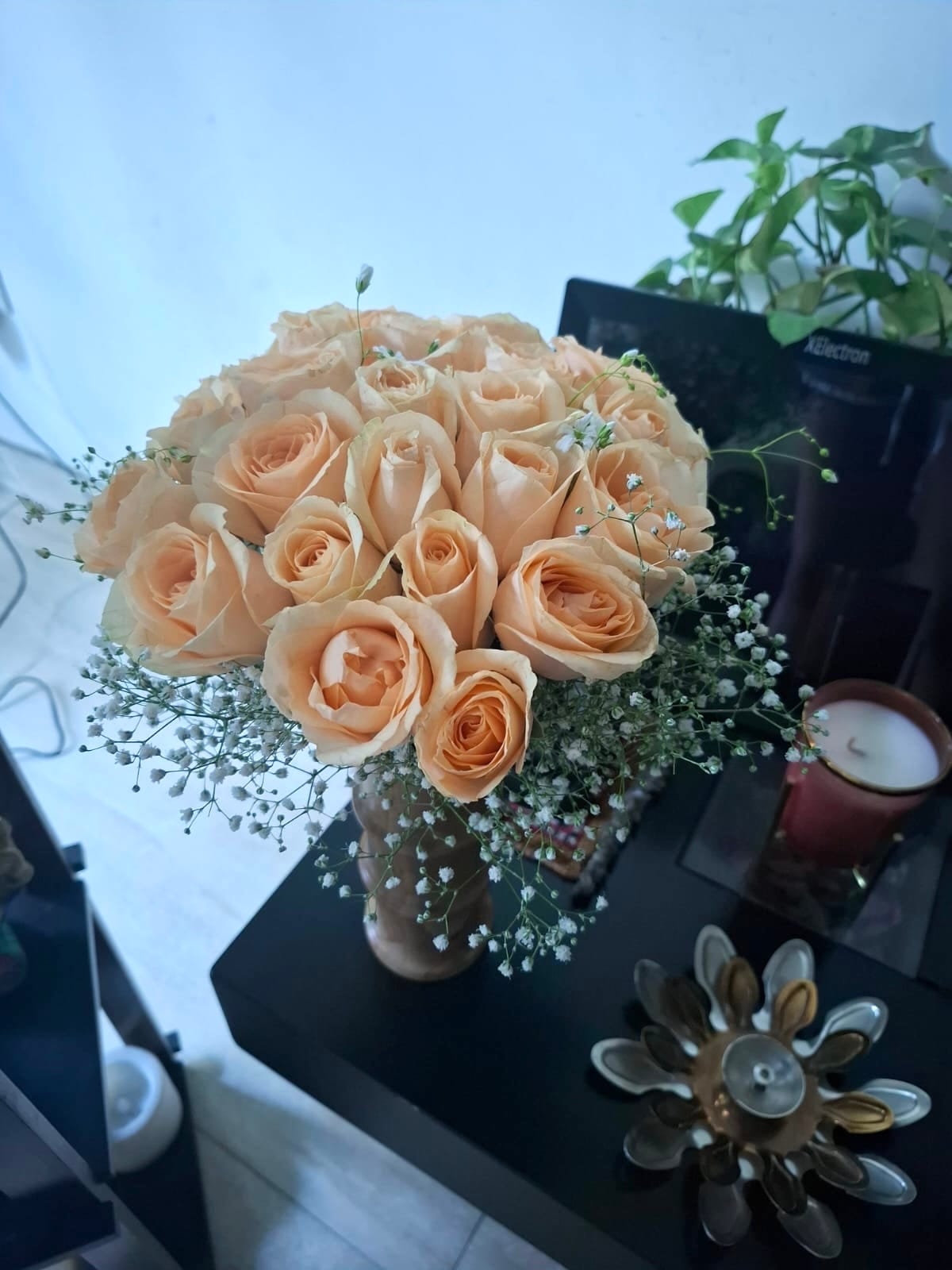 Rose Blush Of Warmth
