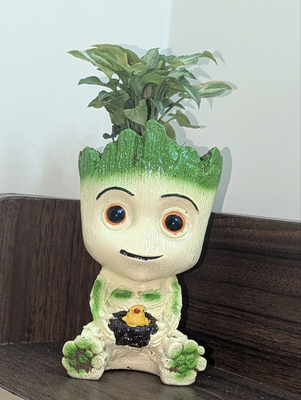 https://imgcdn.floweraura.com/fa/review_image/1739798872_838437.jpeg