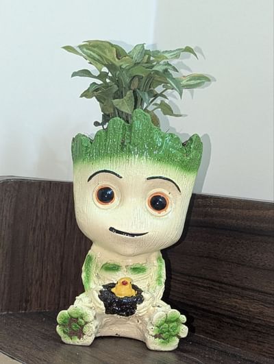 Baby Groot Syngonium