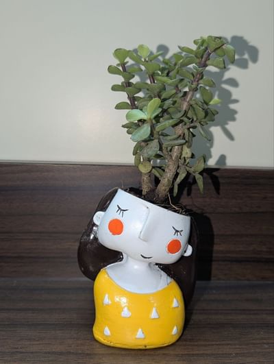 Jade Plant In Cheerful Girl Pot