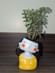 Jade Plant In Cheerful Girl Pot Jade Plant In Cheerful Girl Pot
