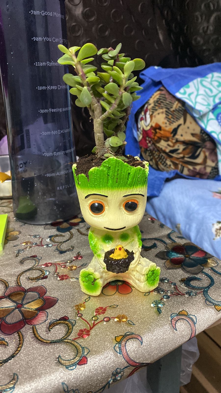 https://imgcdn.floweraura.com/fa/review_image/1739800202_244538.jpeg