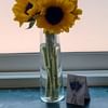 Joyful Sunflowers With Vase