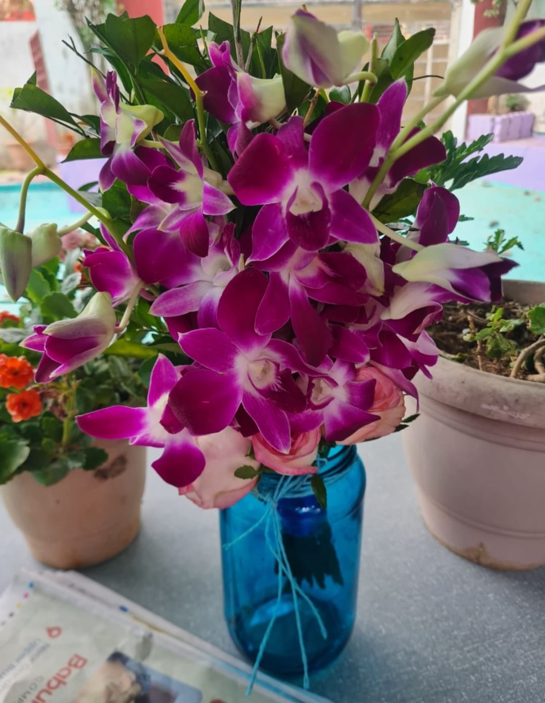 https://imgcdn.floweraura.com/fa/review_image/1743483218_658197.jpeg
