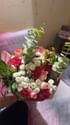 Blush N Glow Of Soft Elegant Petals