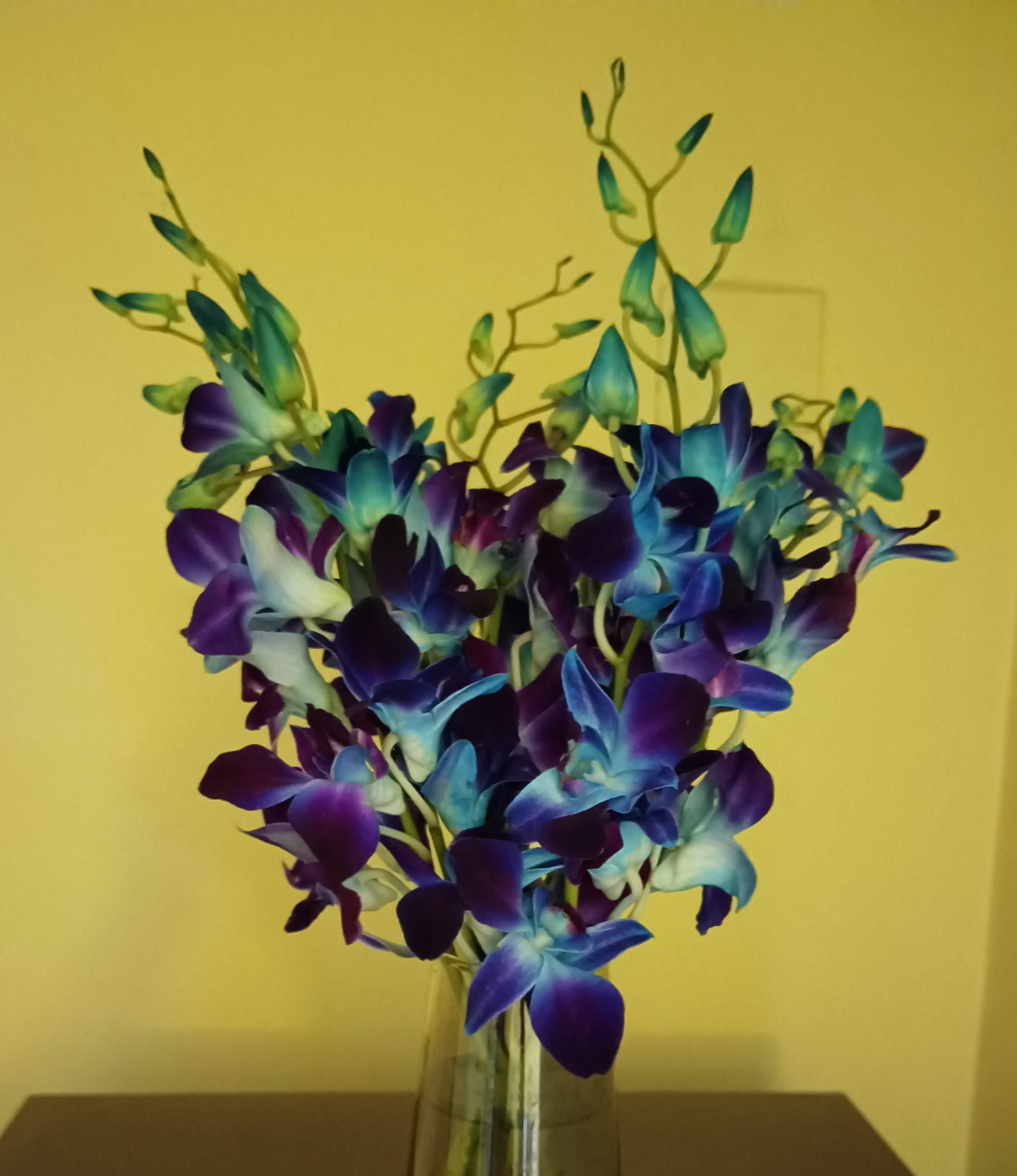 https://imgcdn.floweraura.com/fa/review_image/1747247080_980488.jpeg