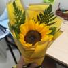Radiating Sunshine