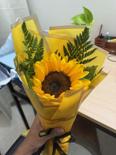 Radiating Sunshine