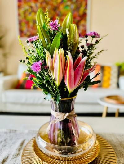 Lily Dreamland With Purple Daisy