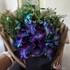 Blue 6 Orchid Jute Bouquet
