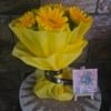 Sunshine Gerberas For Celebration