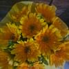 Sunshine Gerberas For Celebration