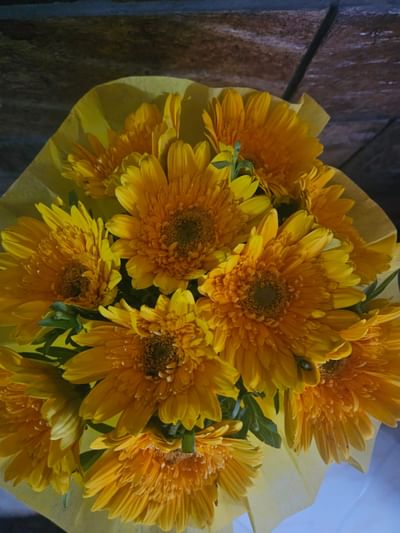 Sunshine Gerberas For Celebration