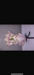 Whispers Of Affection Pink Roses Bouquet