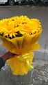 Sunshine Gerberas For Celebration