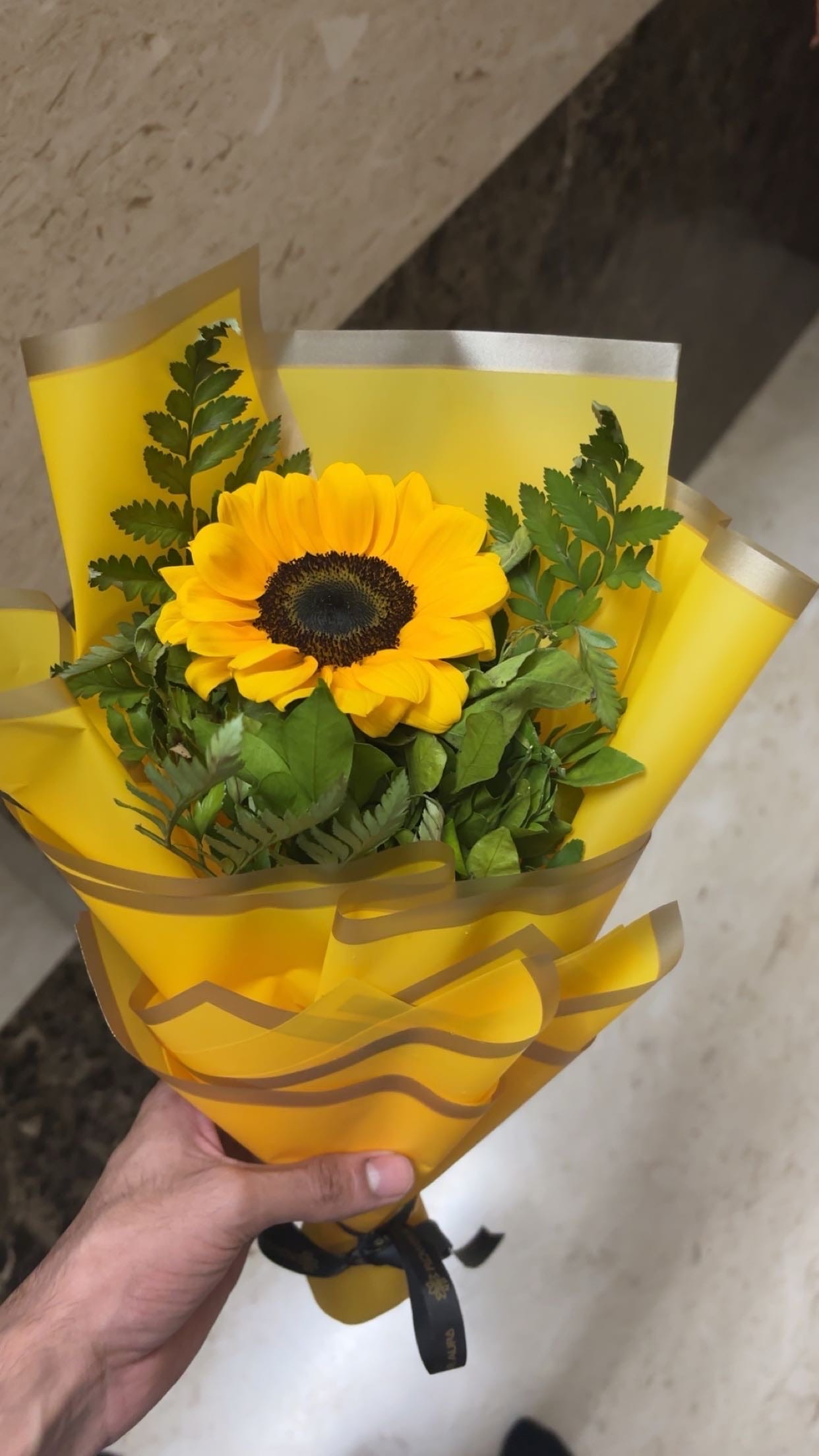 Radiating Sunshine