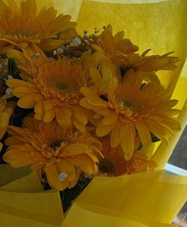 Sunshine Gerberas For Celebration