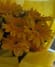 Sunshine Gerberas For Celebration