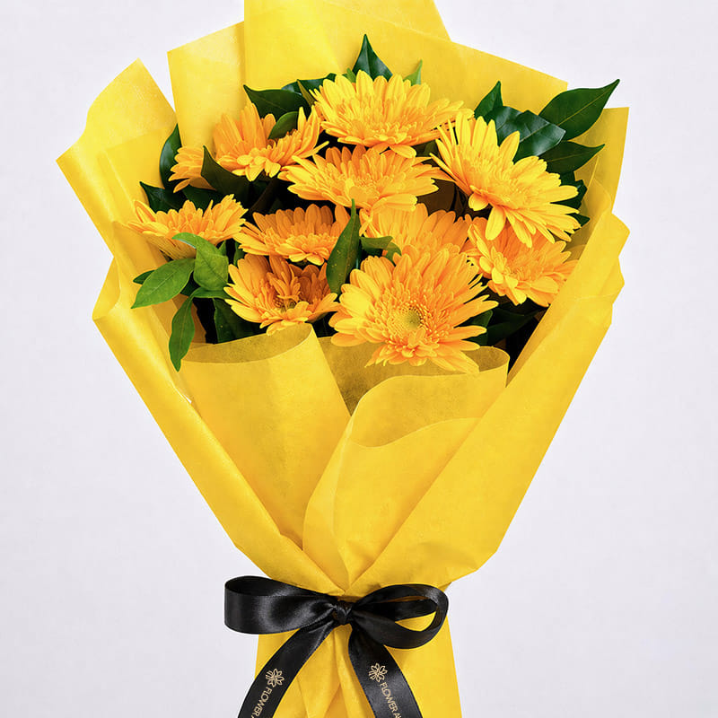 Product Image Video