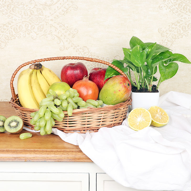 Fancy Fruit Basket n Plant - Lovely Mother's Day Gift