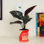 Father's Day Morena Plant Gift