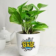 Buy Plants for Father's Day