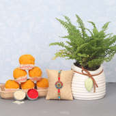 Dwarf Fern Plant with Rakhi and Sweets
